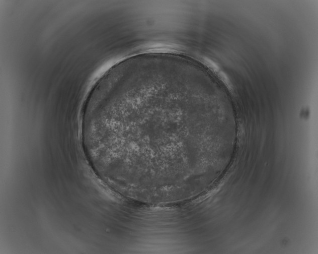 X0000090441419200708031142