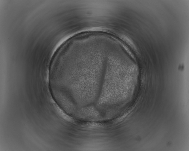 X0000090441420200708031143