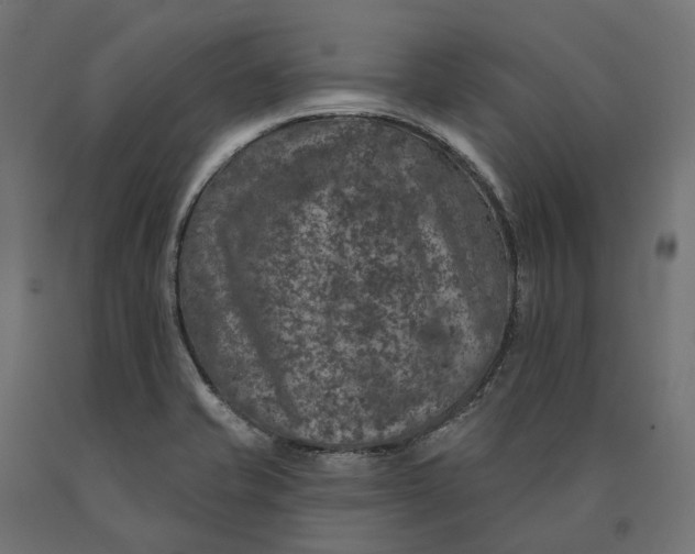 X0000090441421200708031143