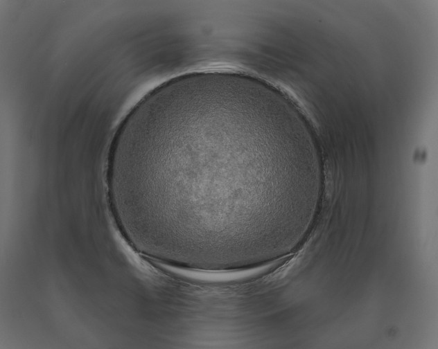 X0000090441422200708031143