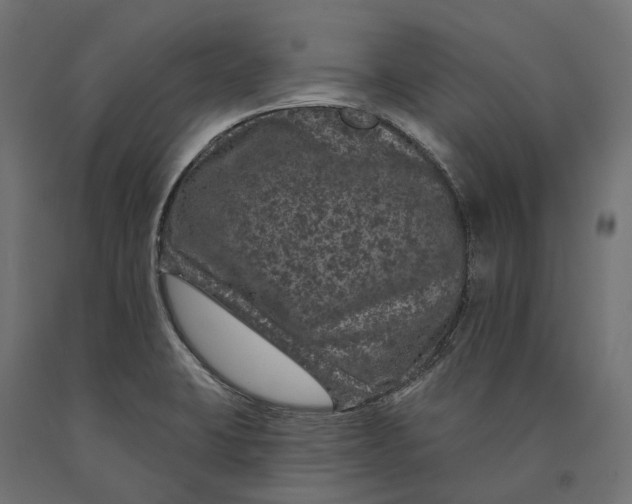 X0000090441423200708031143