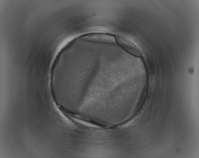 X0000090441424200708031143