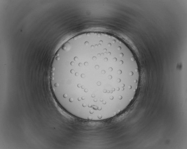 X0000090441425200708031143