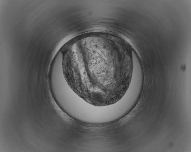 X0000090441426200708031143