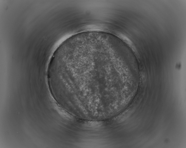 X0000090441427200708031143