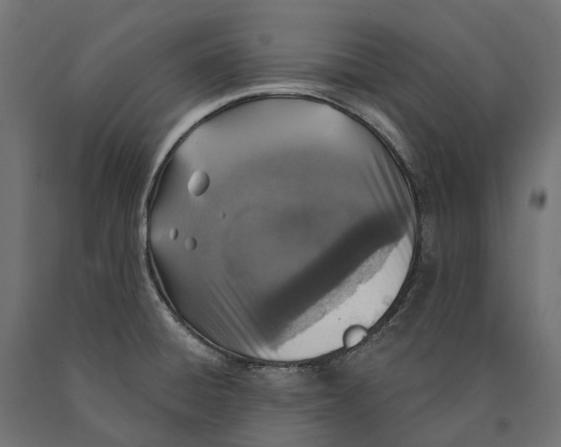 X0000090441428200708031143