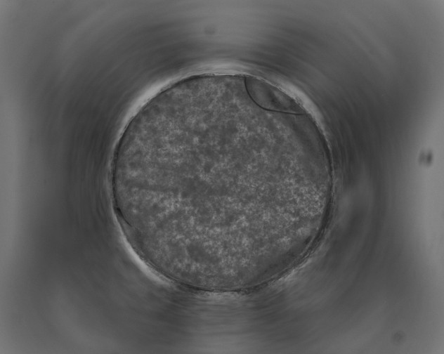 X0000090441429200708031143