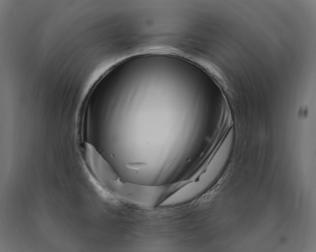 X0000090441430200708031143