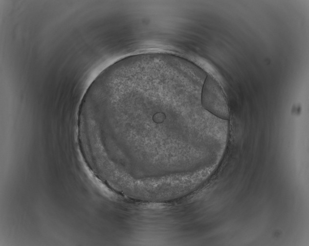 X0000090441431200708031143