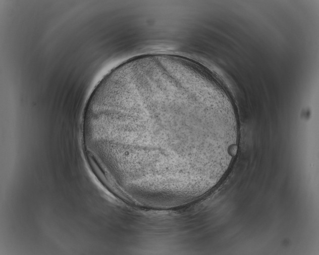 X0000090441432200708031143