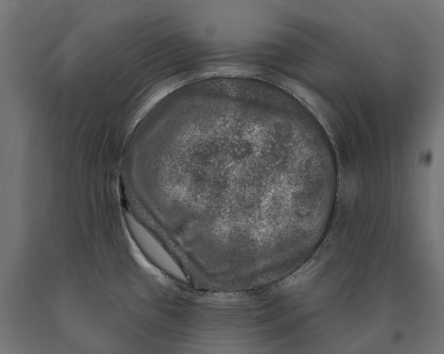 X0000090441433200708031143