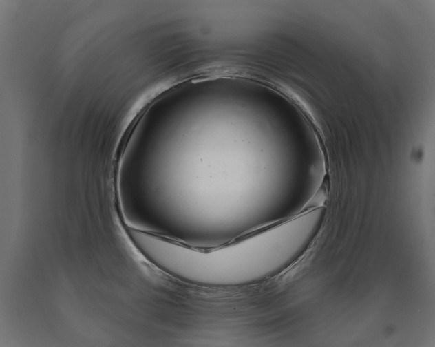 X0000090441434200708031143