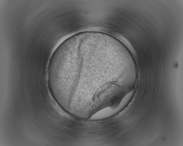 X0000090441436200708031143