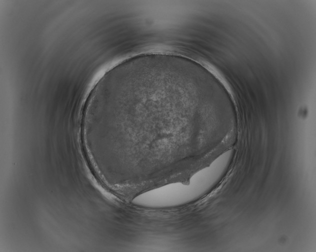 X0000090441437200708031143