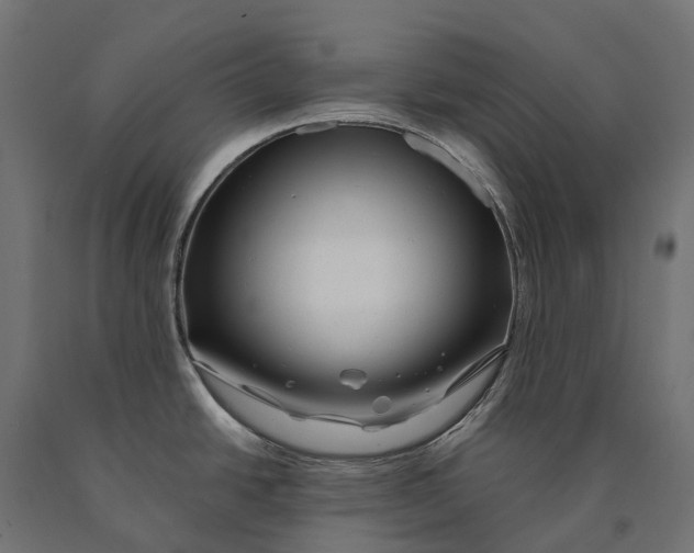 X0000090441438200708031143