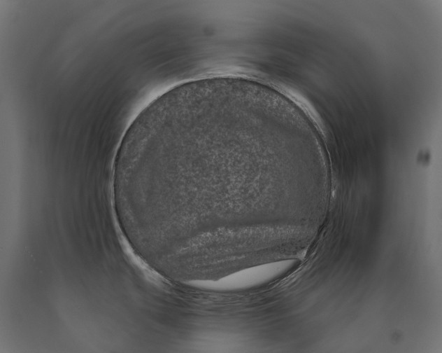 X0000090441439200708031143