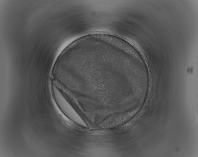 X0000090441440200708031143