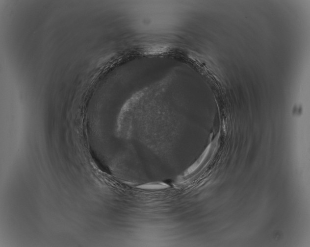 X0000090441441200708031142