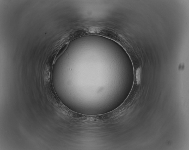 X0000090441443200708031142