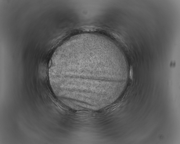 X0000090441444200708031142