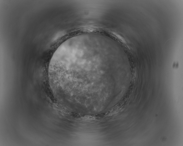 X0000090441446200708031142