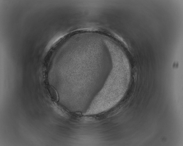 X0000090441448200708031142