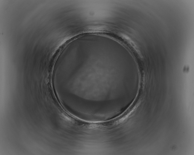 X0000090441449200708031142