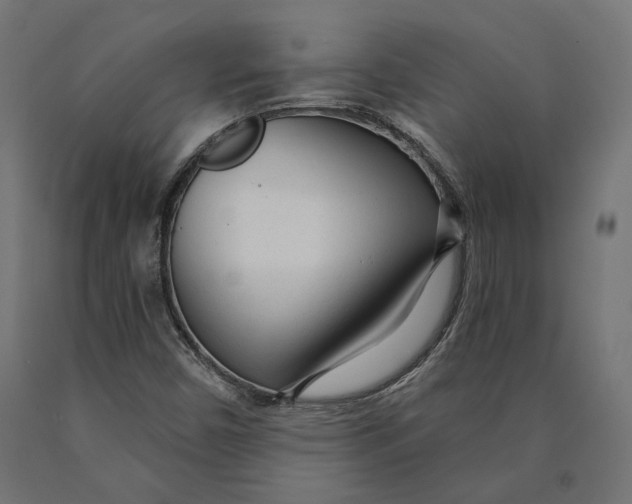 X0000090441450200708031142