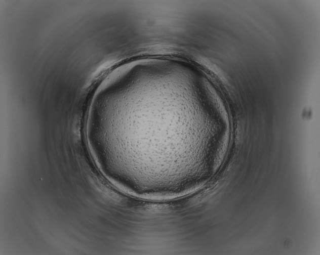 X0000090441451200708031142