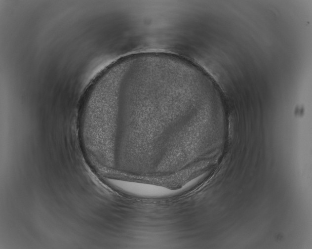 X0000090441452200708031142