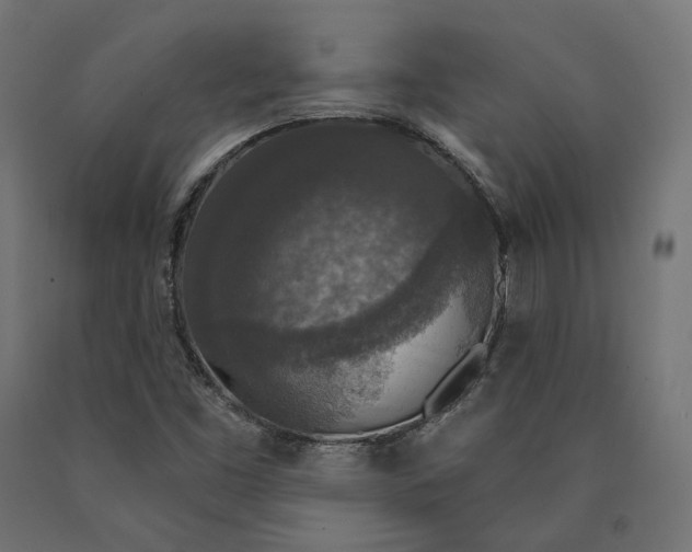 X0000090441453200708031142