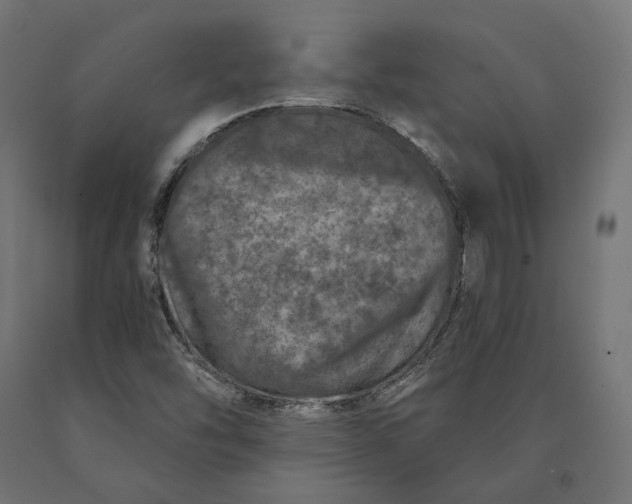 X0000090441454200708031142