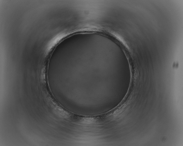 X0000090441455200708031142