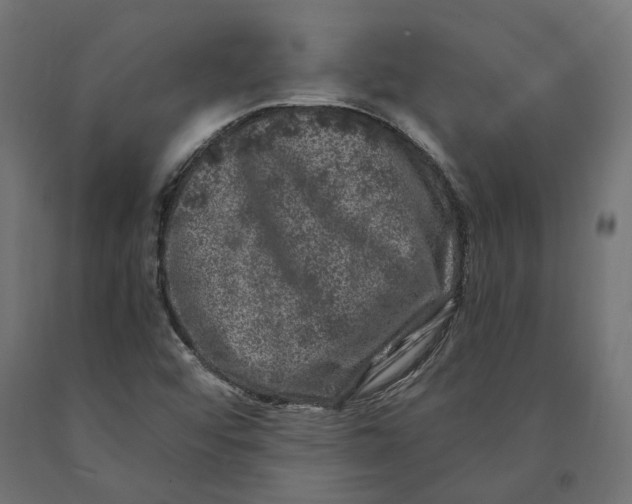 X0000090441456200708031142