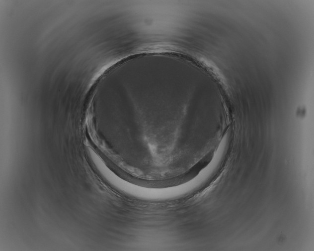 X0000090441457200708031142