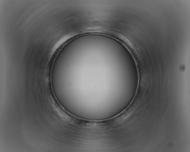 X0000090441458200708031142