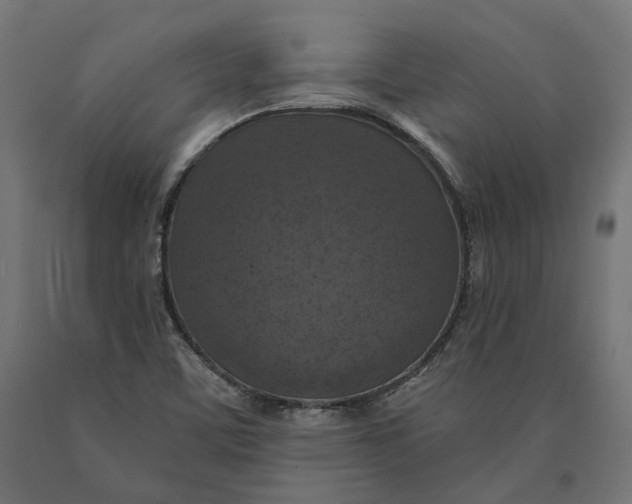 X0000090441459200708031142