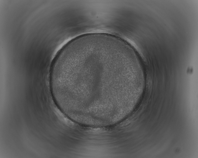 X0000090441460200708031142