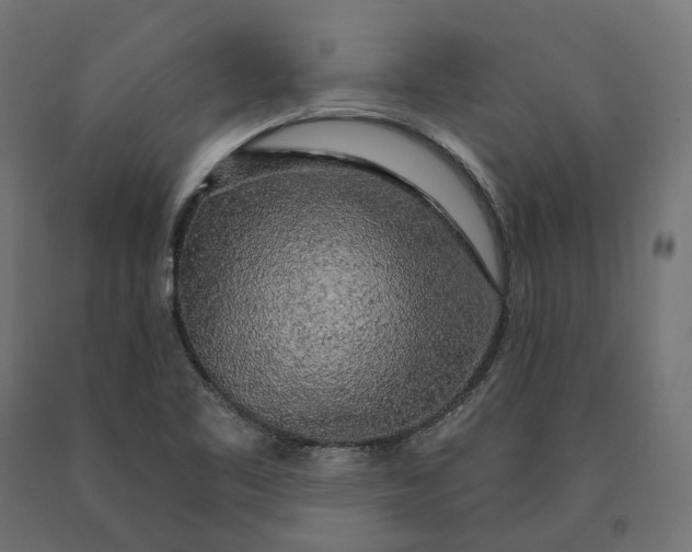 X0000090441461200708031142