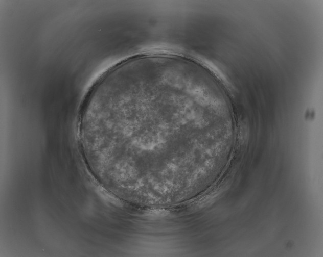 X0000090441462200708031142