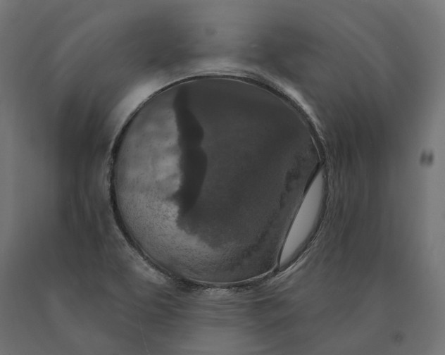 X0000090441463200708031142