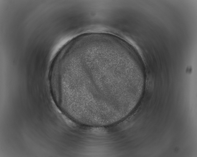 X0000090441464200708031142