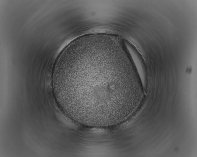 X0000090441465200708031142