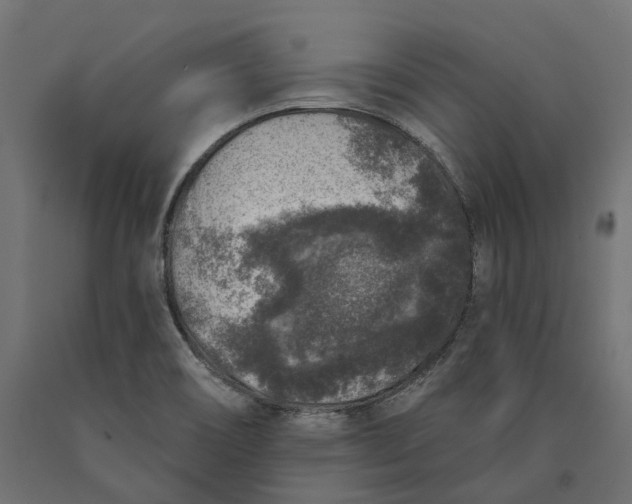 X0000090441466200708031142