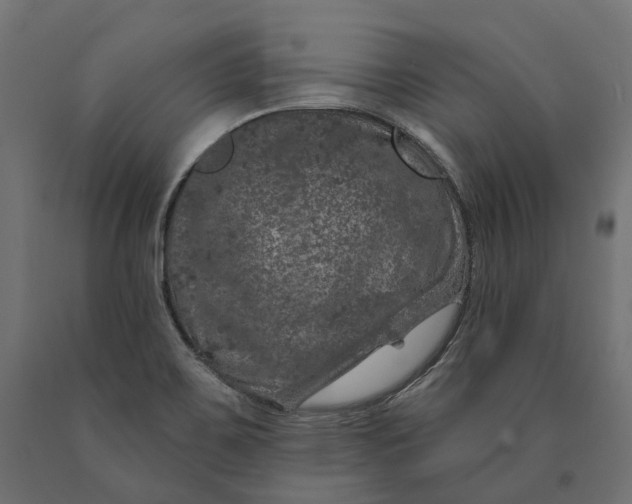 X0000090441467200708031142