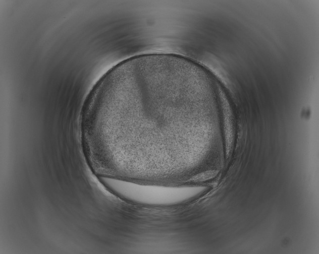 X0000090441468200708031142