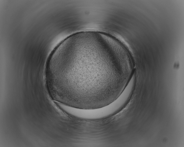 X0000090441469200708031142