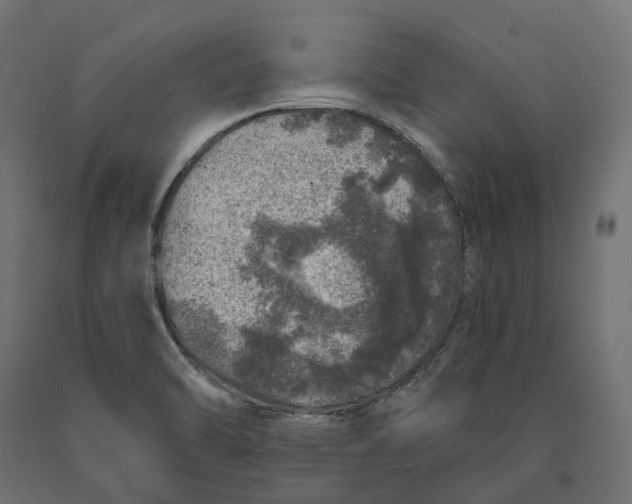 X0000090441470200708031142