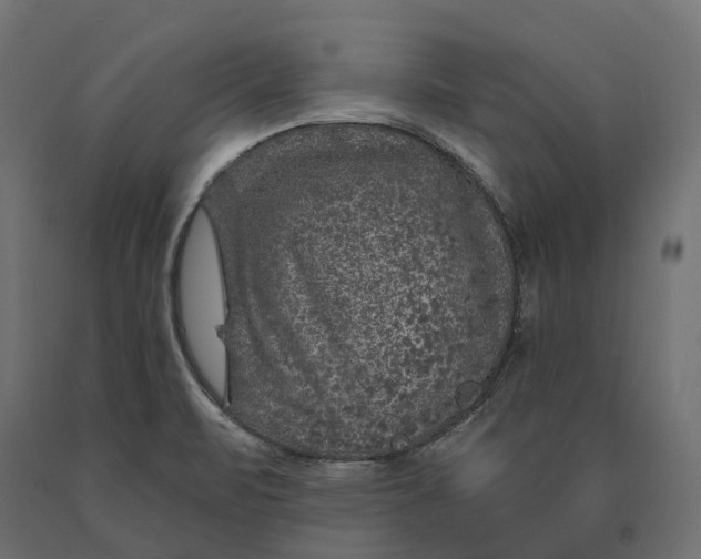 X0000090441471200708031142