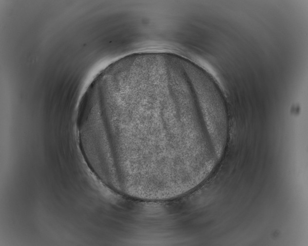 X0000090441472200708031142